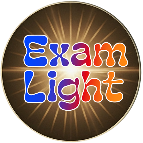 Exam Light Logo
